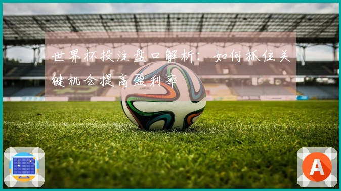 世界杯投注盘口解析：如何抓住关键机会提高盈利率