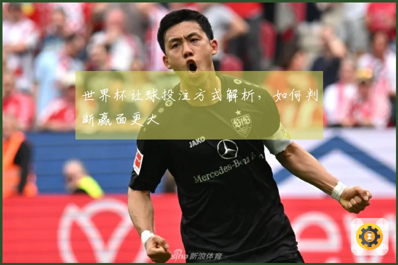 世界杯让球投注方式解析，如何判断赢面更大