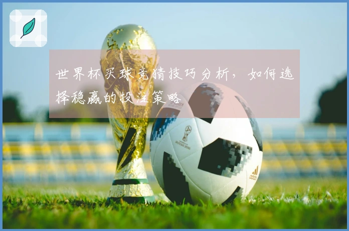 世界杯买球竞猜技巧分析，如何选择稳赢的投注策略