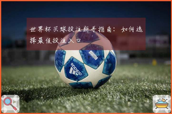 世界杯买球投注新手指南：如何选择最佳投注入口