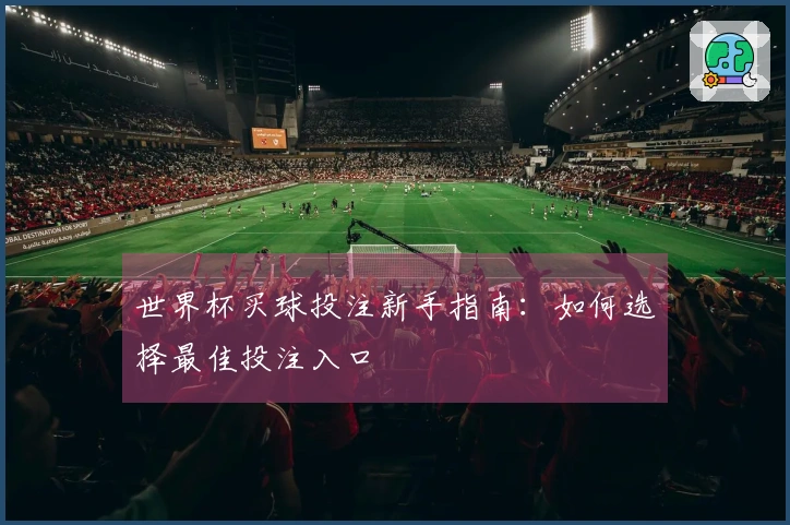 世界杯买球投注新手指南：如何选择最佳投注入口