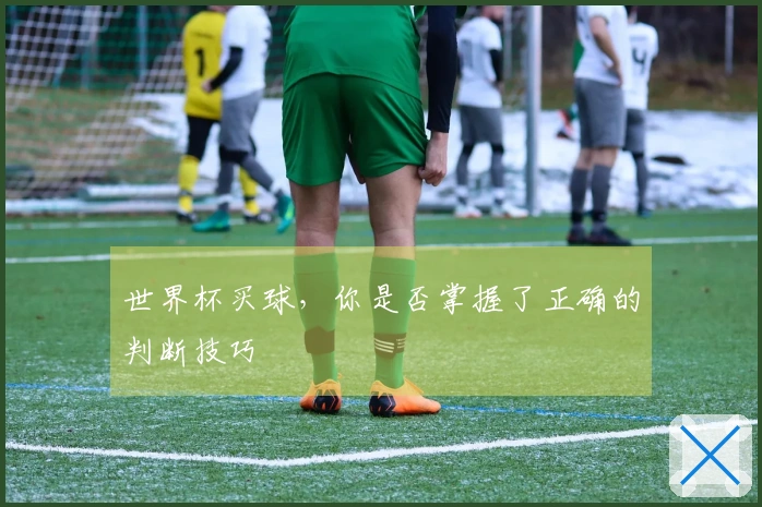 世界杯买球，你是否掌握了正确的判断技巧