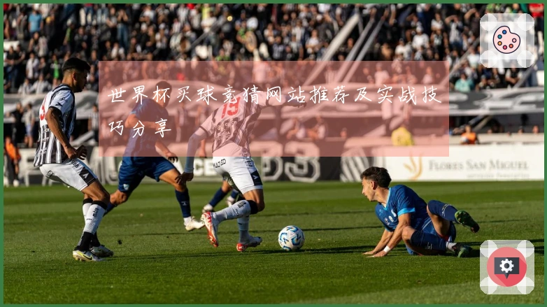 世界杯买球竞猜网站推荐及实战技巧分享