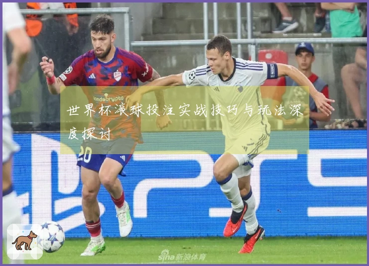 世界杯滚球投注实战技巧与玩法深度探讨