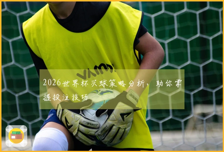 2026世界杯买球策略分析，助你掌握投注技巧