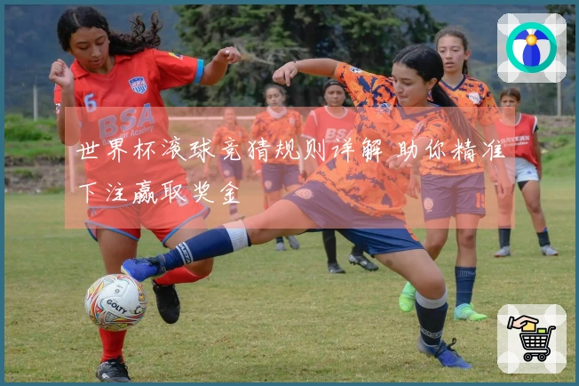 世界杯滚球竞猜规则详解 助你精准下注赢取奖金