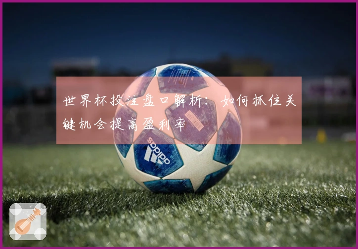 世界杯投注盘口解析：如何抓住关键机会提高盈利率