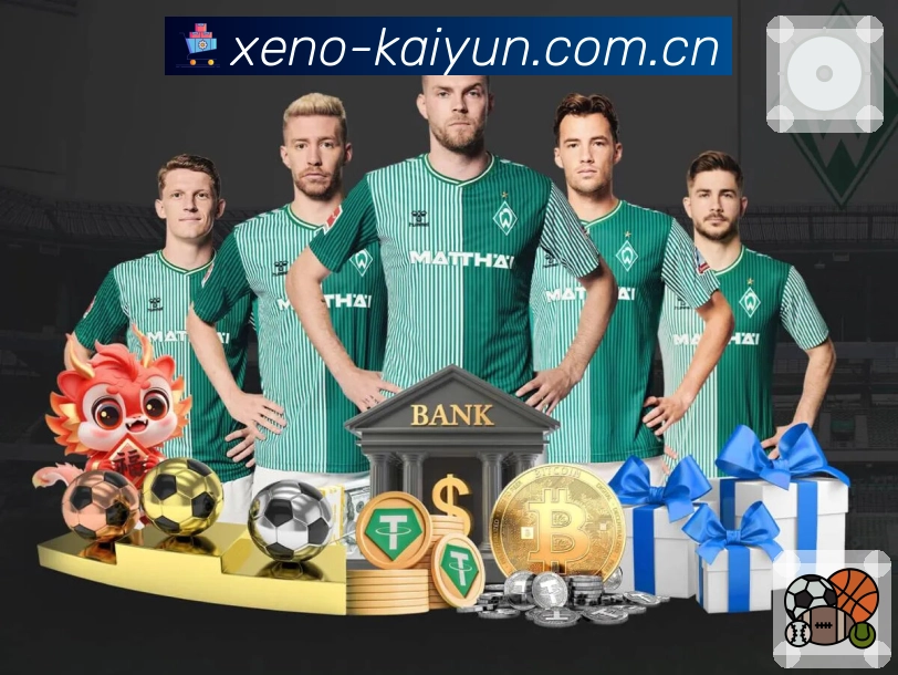 集锦回放与复盘